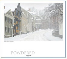 Powdered Sugar